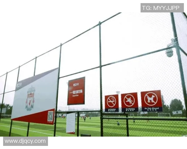 西安足球队技术表现深度分析与数据解读探讨